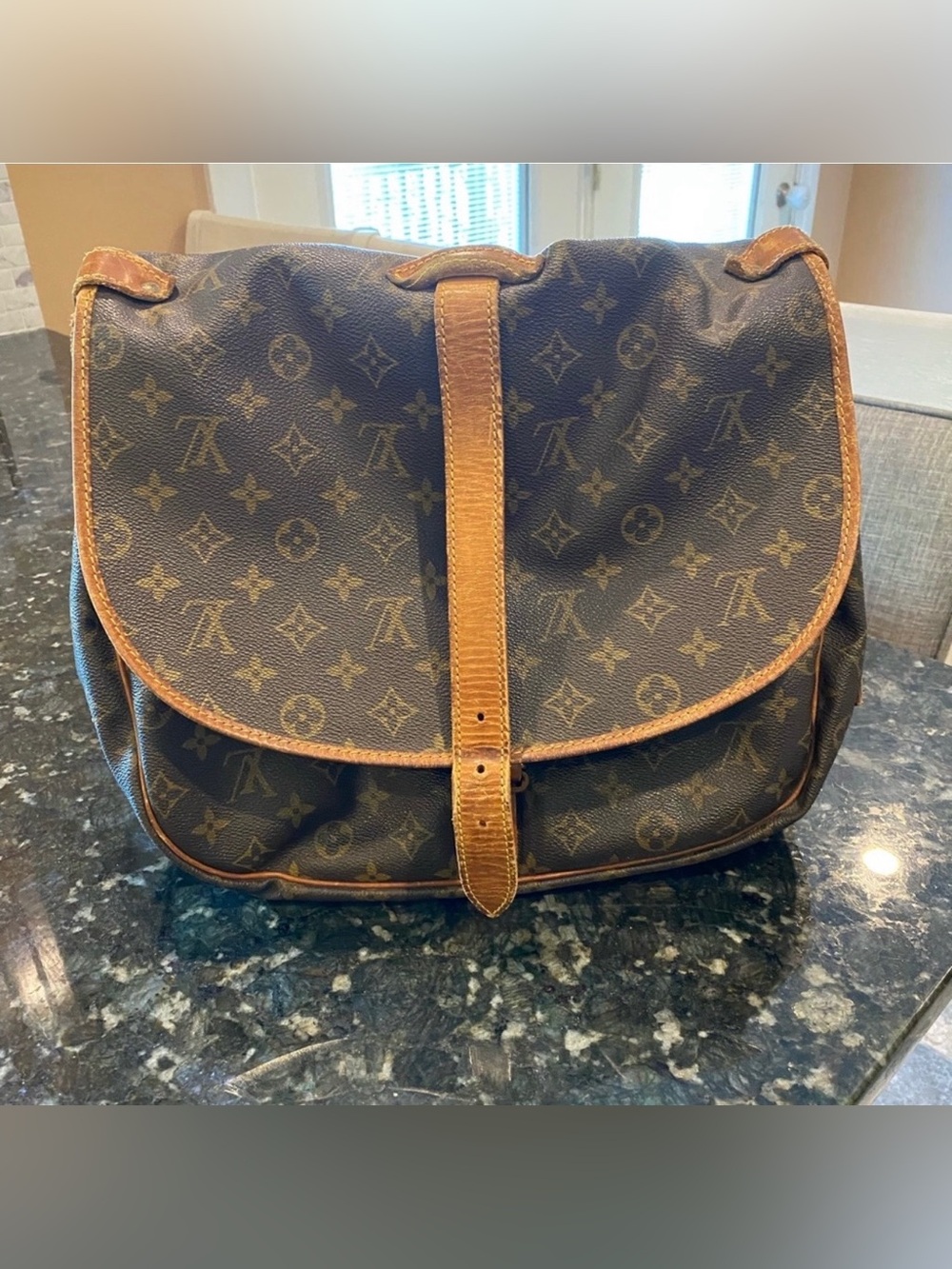 Louis Vuitton Saumur Purse